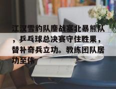 28圈体育-江汉雪豹队鏖战塞北暴熊队，乒乓球总决赛守住胜果，替补奇兵立功。教练团队居功至伟的简单介绍