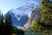 28圈娱乐-包含赛地聚焦：社区盾窗口期热度飙升，斯图加特复出首秀，目标明确，官宣口径保持一致的词条